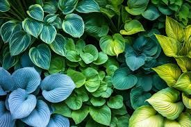 Woman wearing yellow gloves cleaning floor in a living room, smiling. Cleaning supplies in a blue bin.