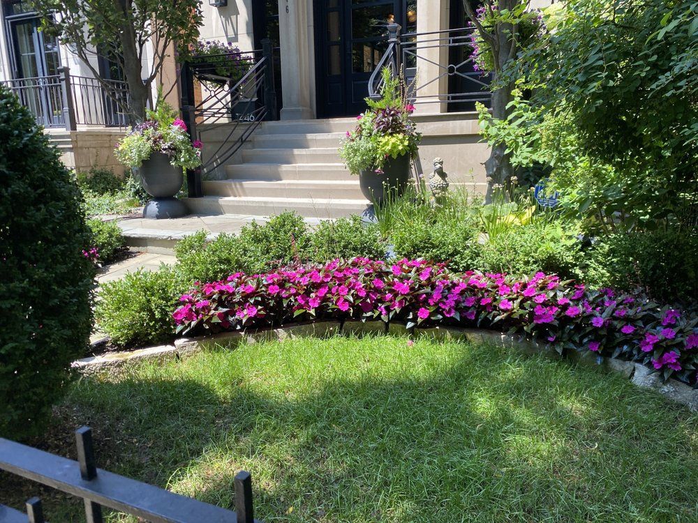 Purple-leafed plants border a grassy lawn leading to steps of a building with ornate planters.