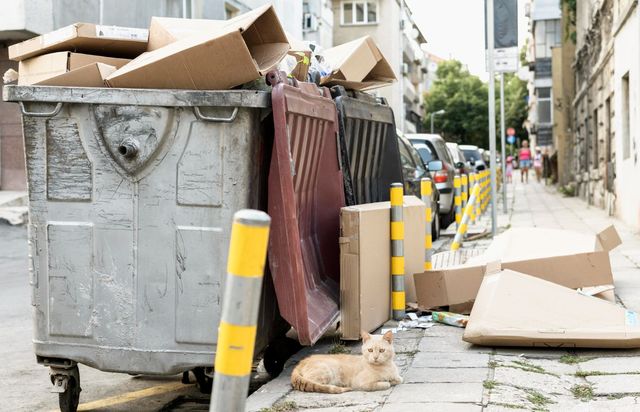 5 Signs It's Time for a Professional Junk Removal Service