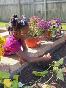 A little girl is eating a slice of watermelon in a garden.