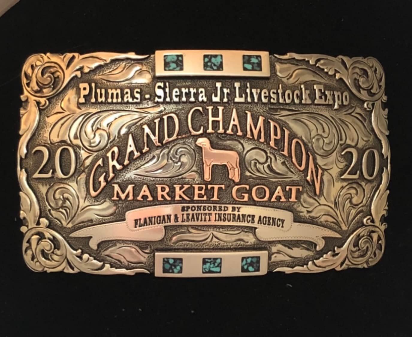 A belt buckle for the plumas sierra jr livestock expo