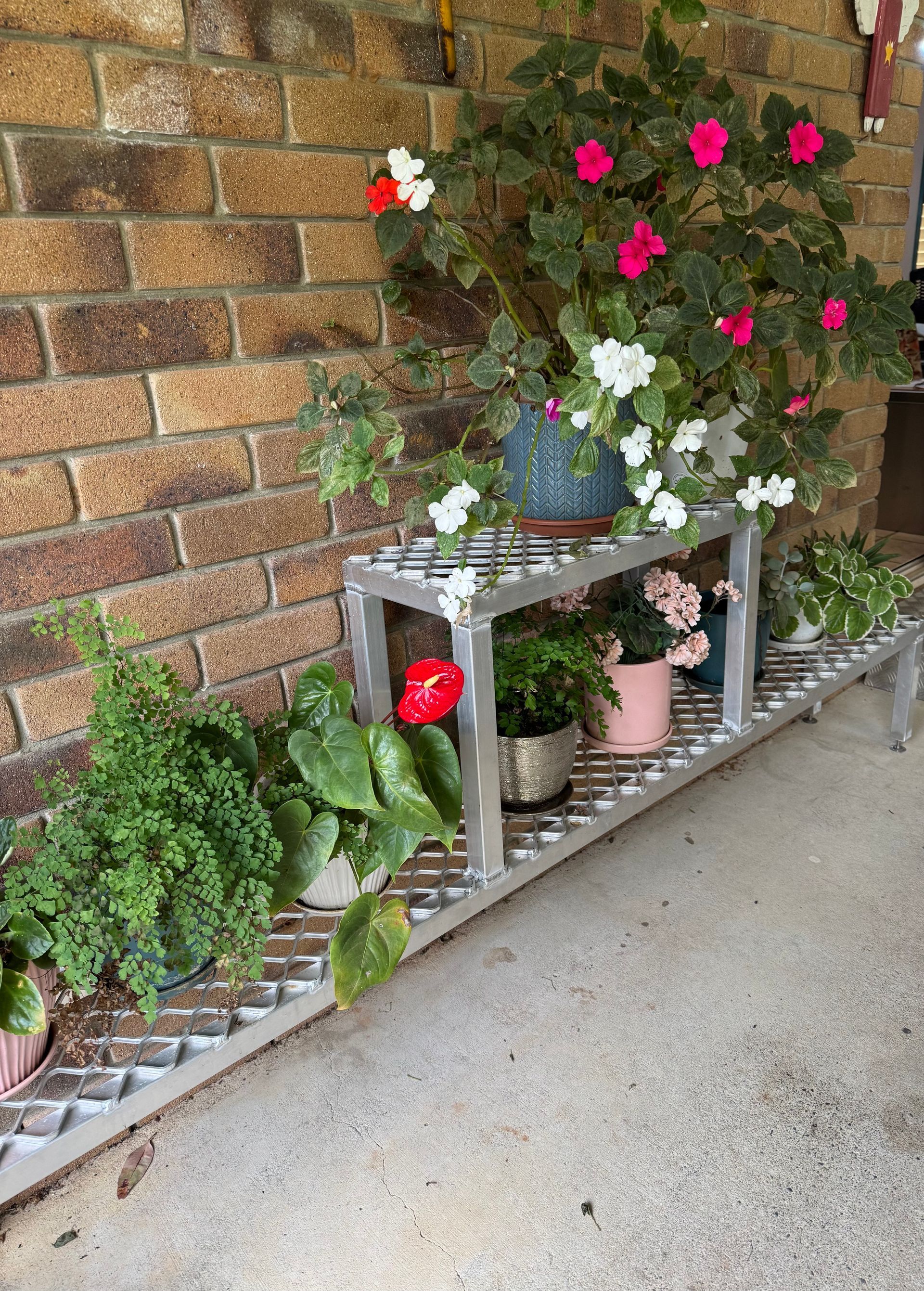 A collection of potted plants on a silver metal tiered shelf against a brick wall, with pink and white flowers — Metaltrendz in Kunda Park, QLD