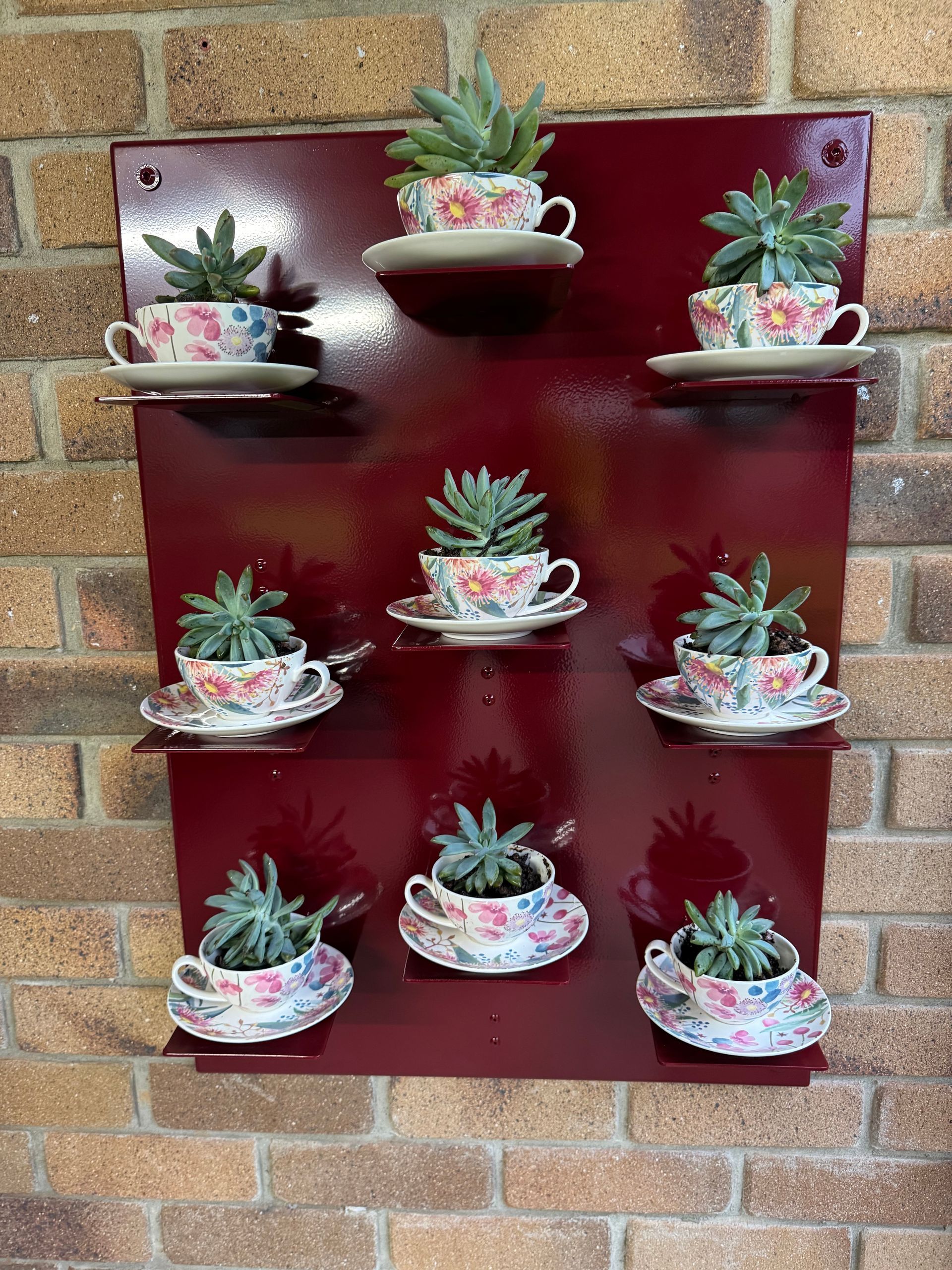 Succulents in floral teacups on a burgundy metal wall-mounted shelf against a brick wall — Metaltrendz in Kunda Park, QLD