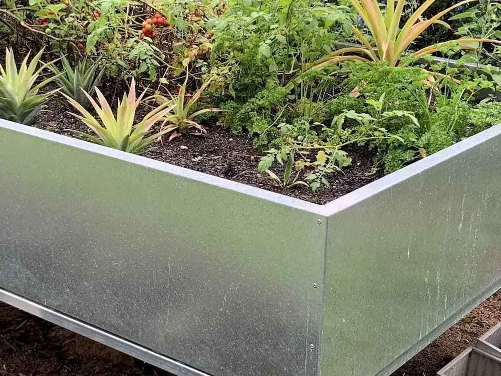 A Metal Planter Filled With Lots of Plants and Dirt — Metaltrendz in Noosa, QLD