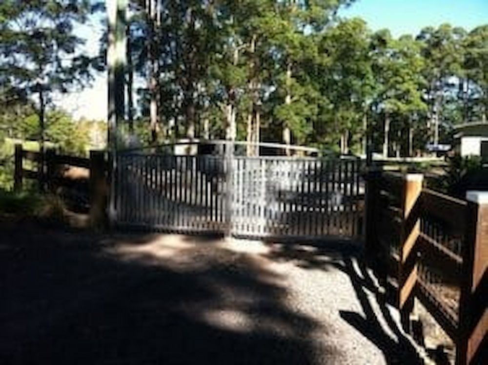 A Metal Gate is Surrounded by a Wooden Fence and Trees — Metaltrendz in Kunda Park, QLD
