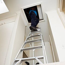 A ladder leading to a loft