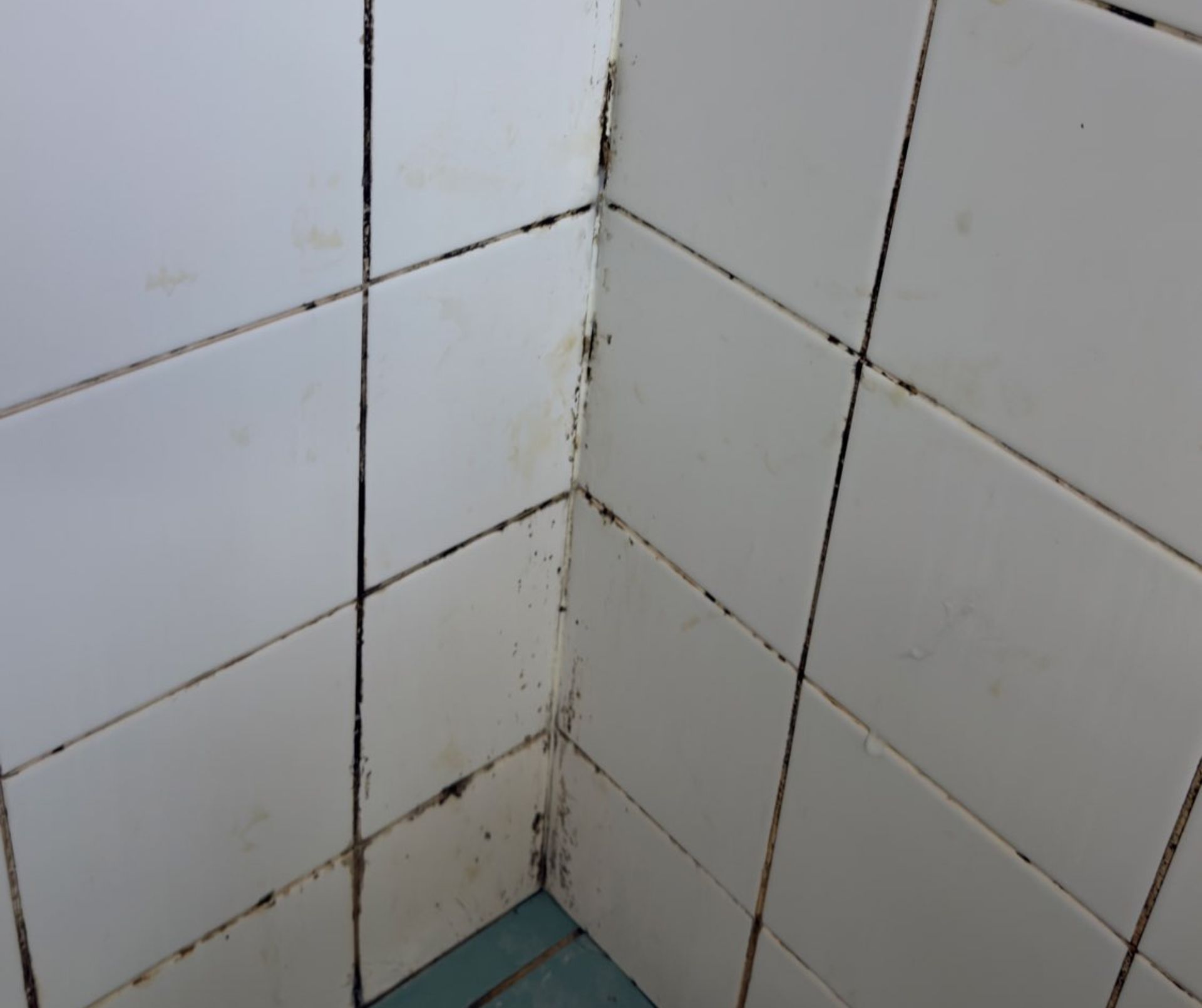 White tiles in a shower with mould— Schmucker Cleaning in Gulliver, QLD