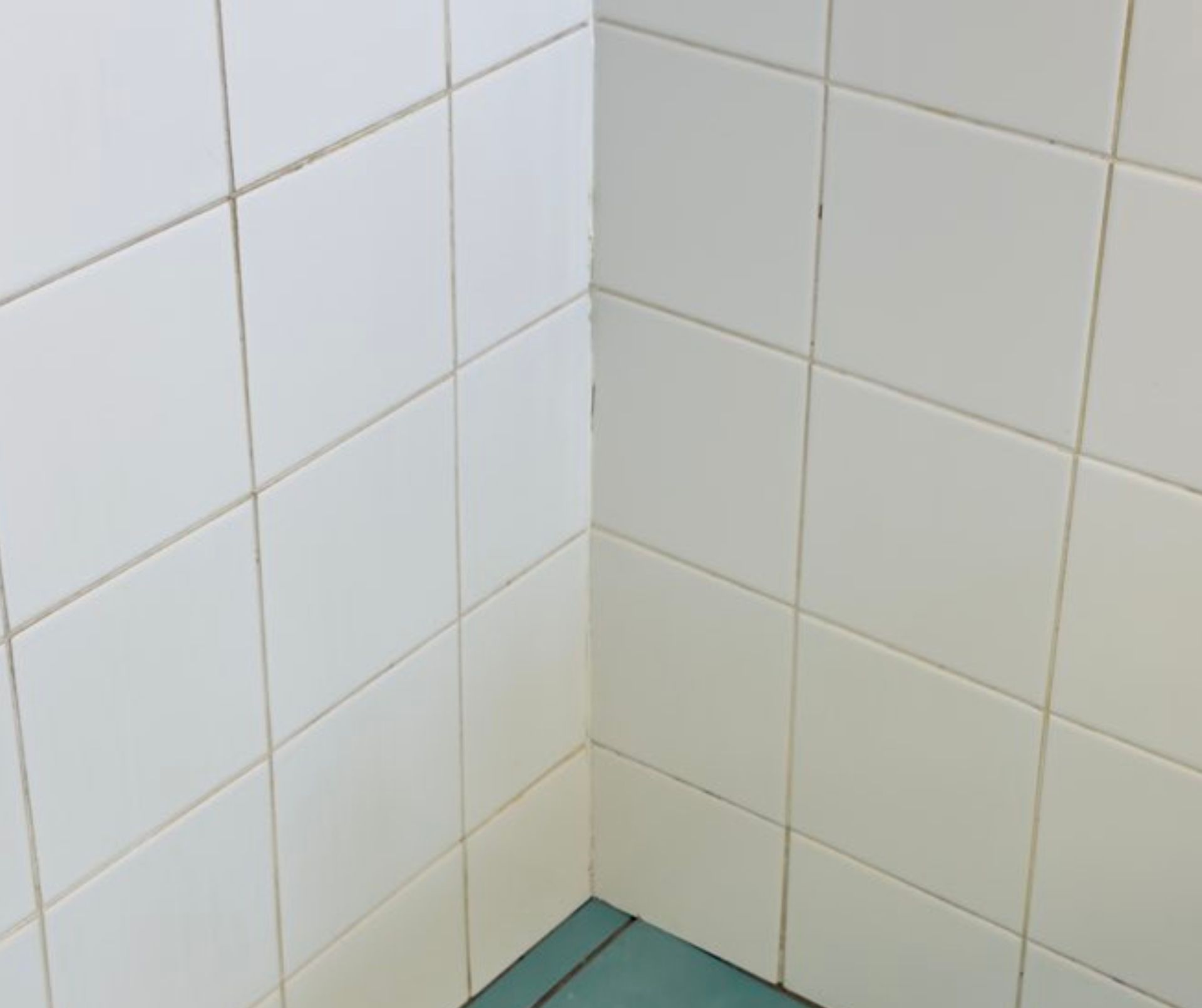 Clean white tiles in a show — Schmucker Cleaning in Gulliver, QLD