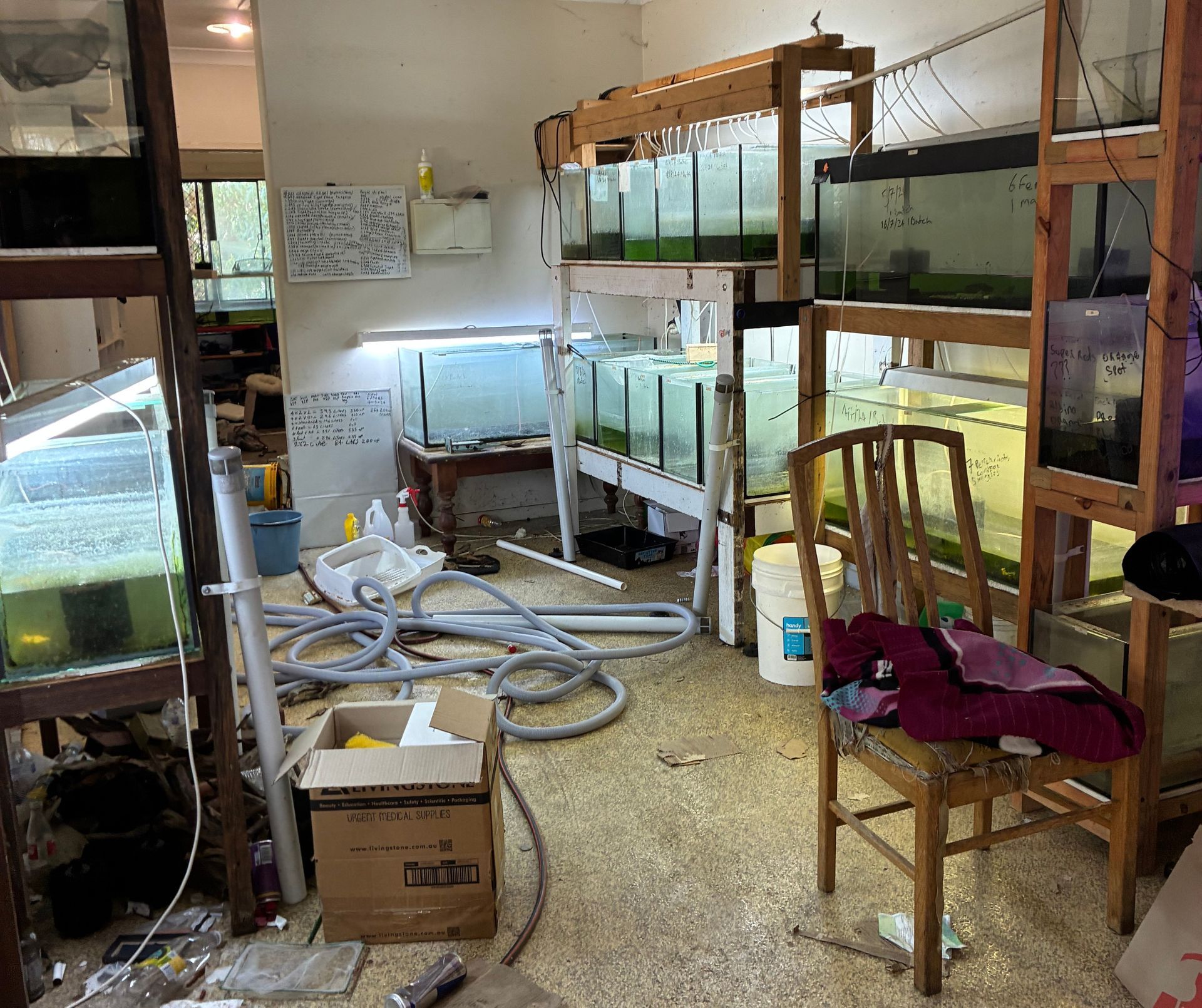 Room With Multiple Fish Tanks on Wooden Shelving — Schmucker Cleaning in Gulliver, QLD