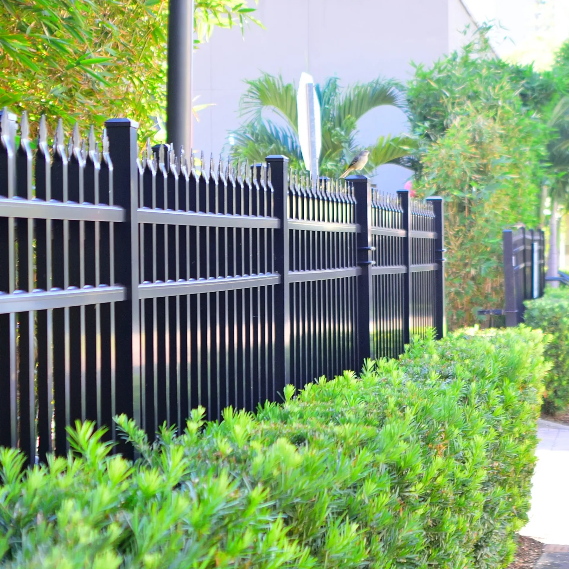 Boots & Boards Fencing - A black metal fence surrounded by green bushes and trees.