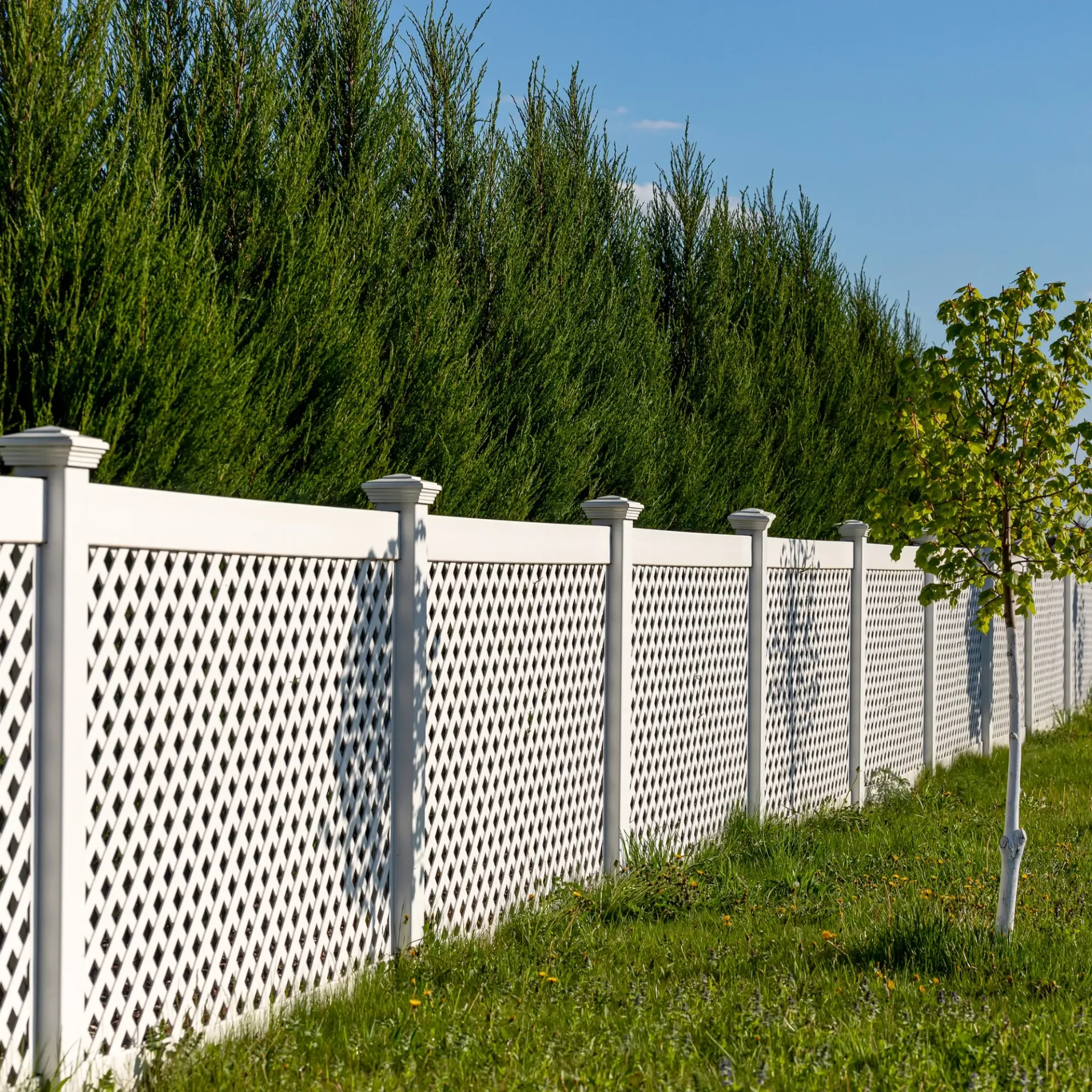 Boots & Boards Fencing - A white lattice fence surrounds a lush green field.