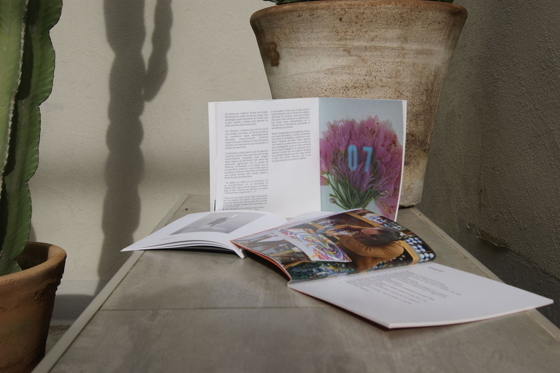 Revista oberta i documents sobre una taula, amb un cactus i un test decoratiu al fons.