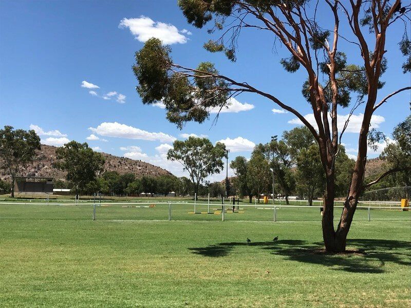 Look Beautiful In Alice Springs — Blatherskite Park in Alice Springs, NT