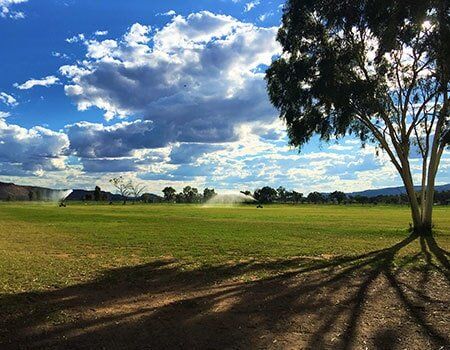 One Tree And Grass Outlet — Blatherskite Park in Alice Springs, NT