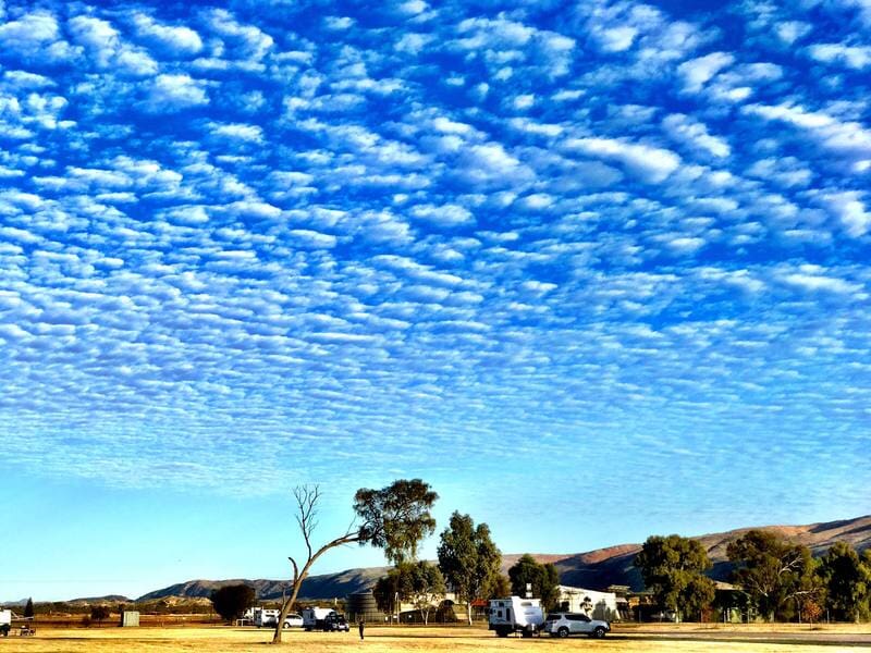 Campers — Blatherskite Park in Alice Springs, NT