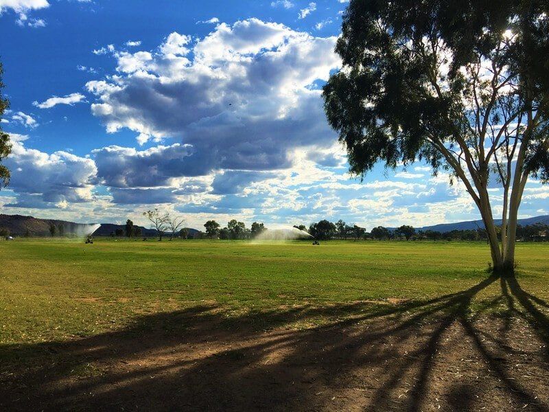 Agistment Paddock — Blatherskite Park in Alice Springs, NT