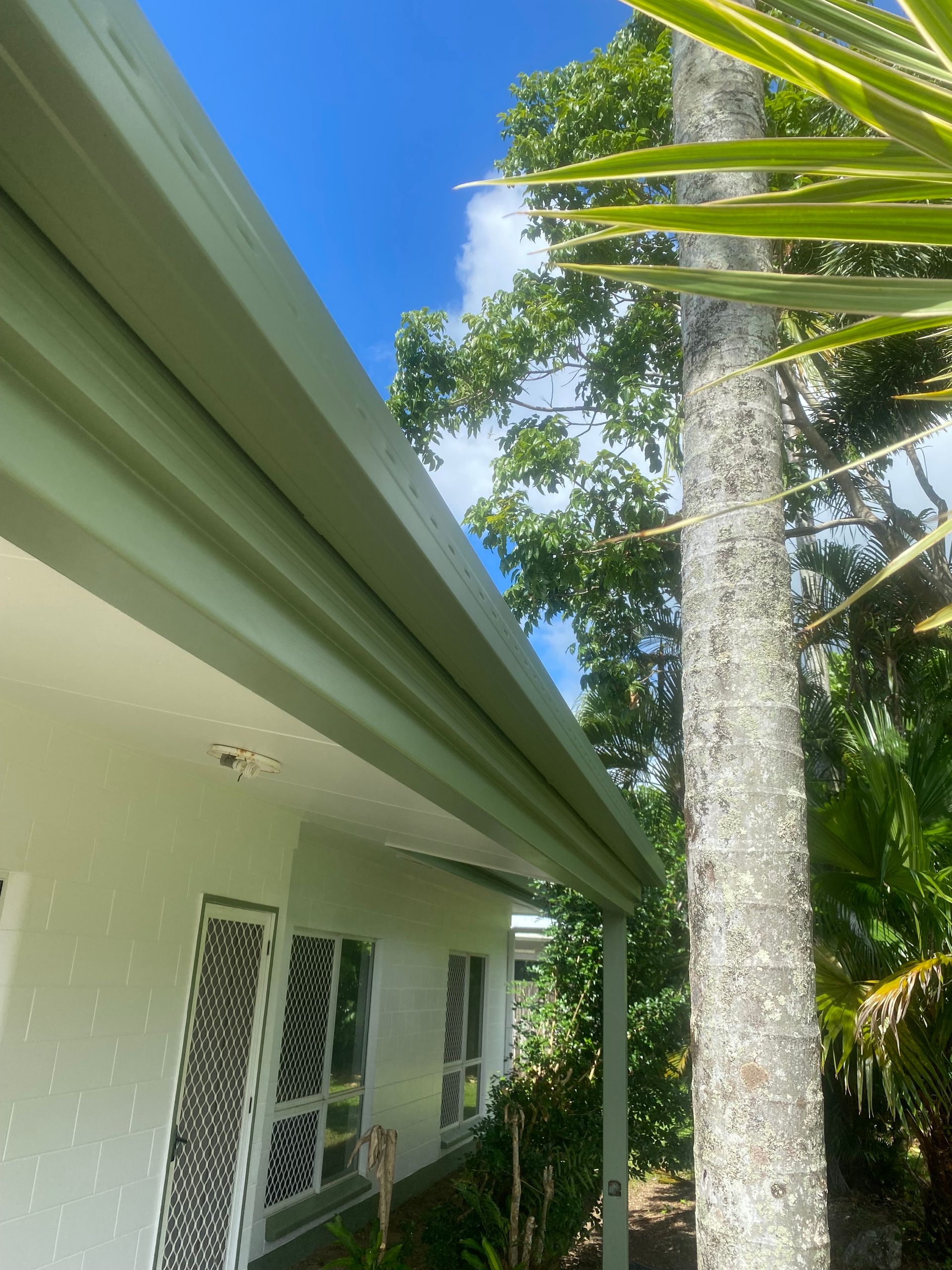 A White House With a Green Gutter and a Palm Tree in Front of It — Painting & Maintenance FNQ Handyman Service in Clifton Beach, QLD