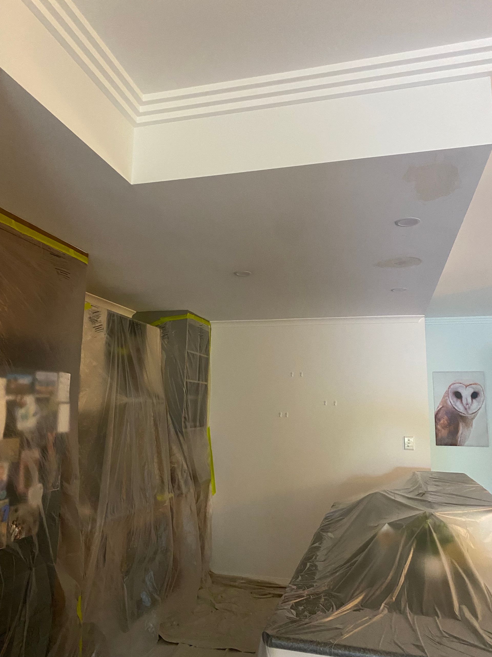 A room with a picture of a cat on the wall — Painting & Maintenance FNQ Handyman Service in Clifton Beach, QLD