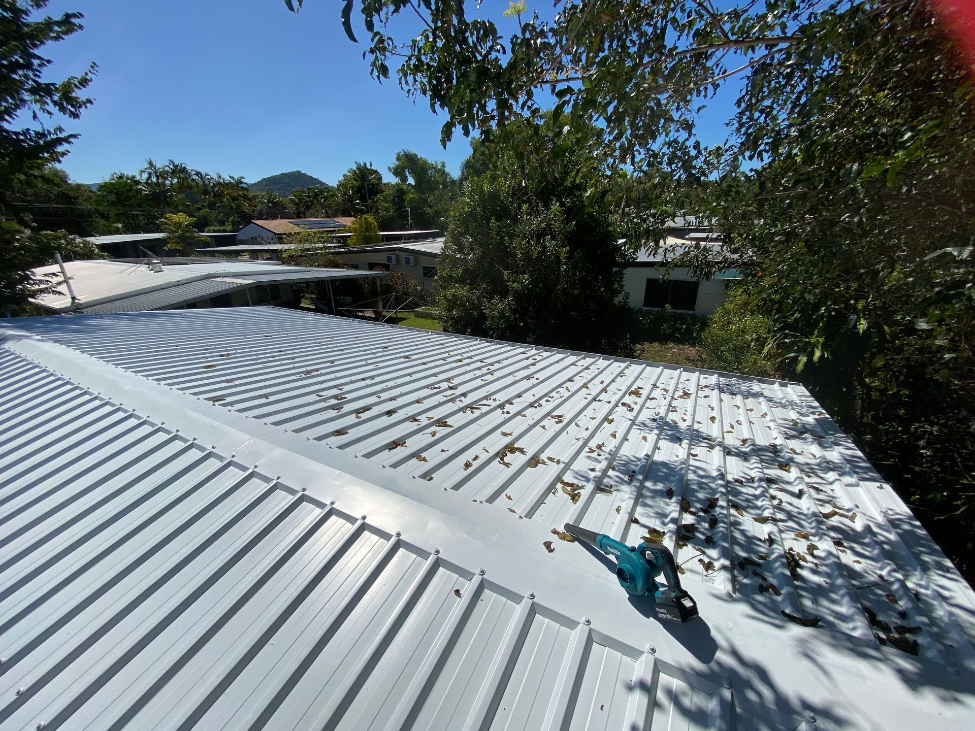A White Roof With Trees in the Background is Being Painted — Painting & Maintenance FNQ Handyman Service in Clifton Beach, QLD