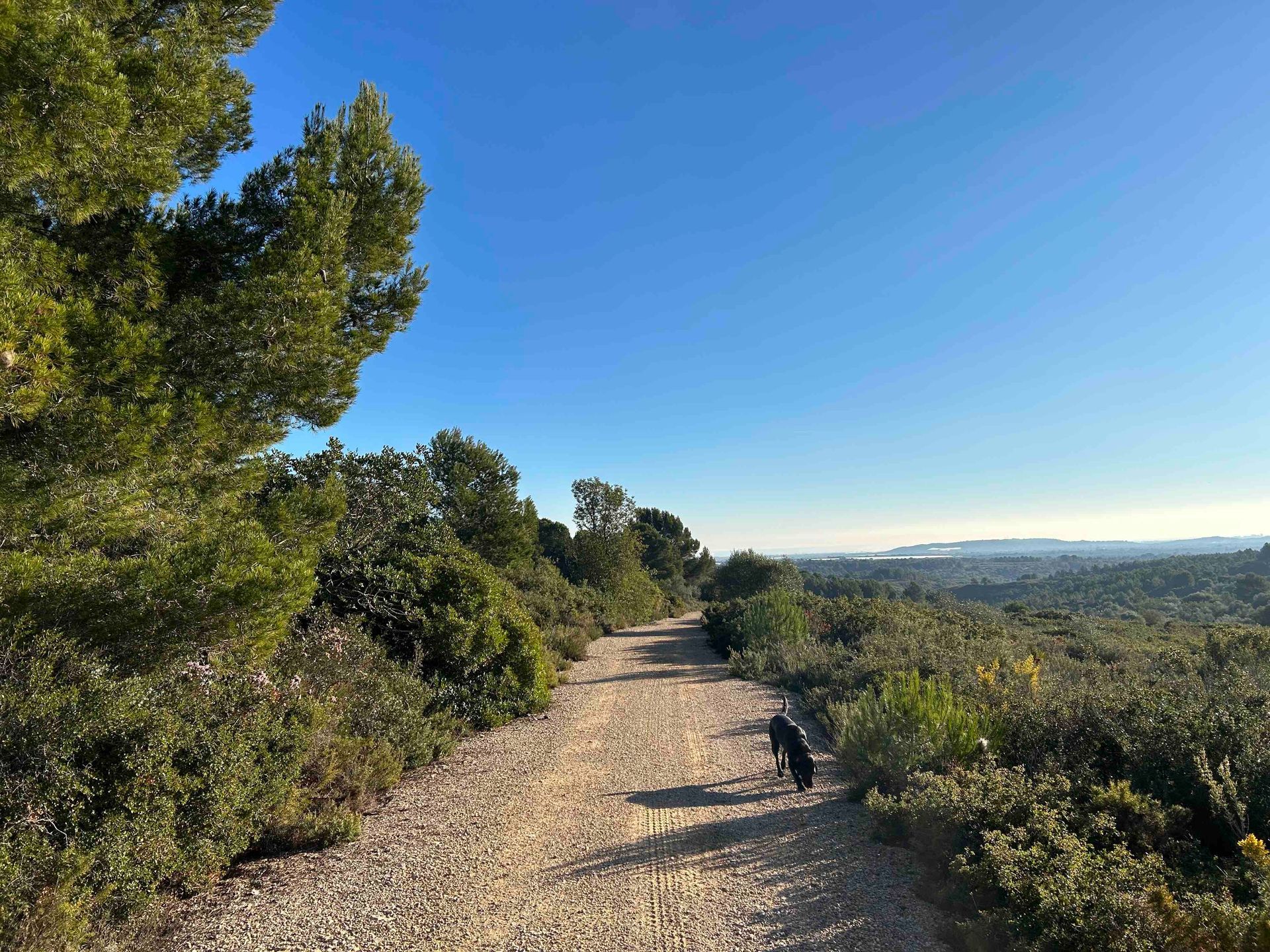 Countryside walk from Traiguera along BTT100 lanes