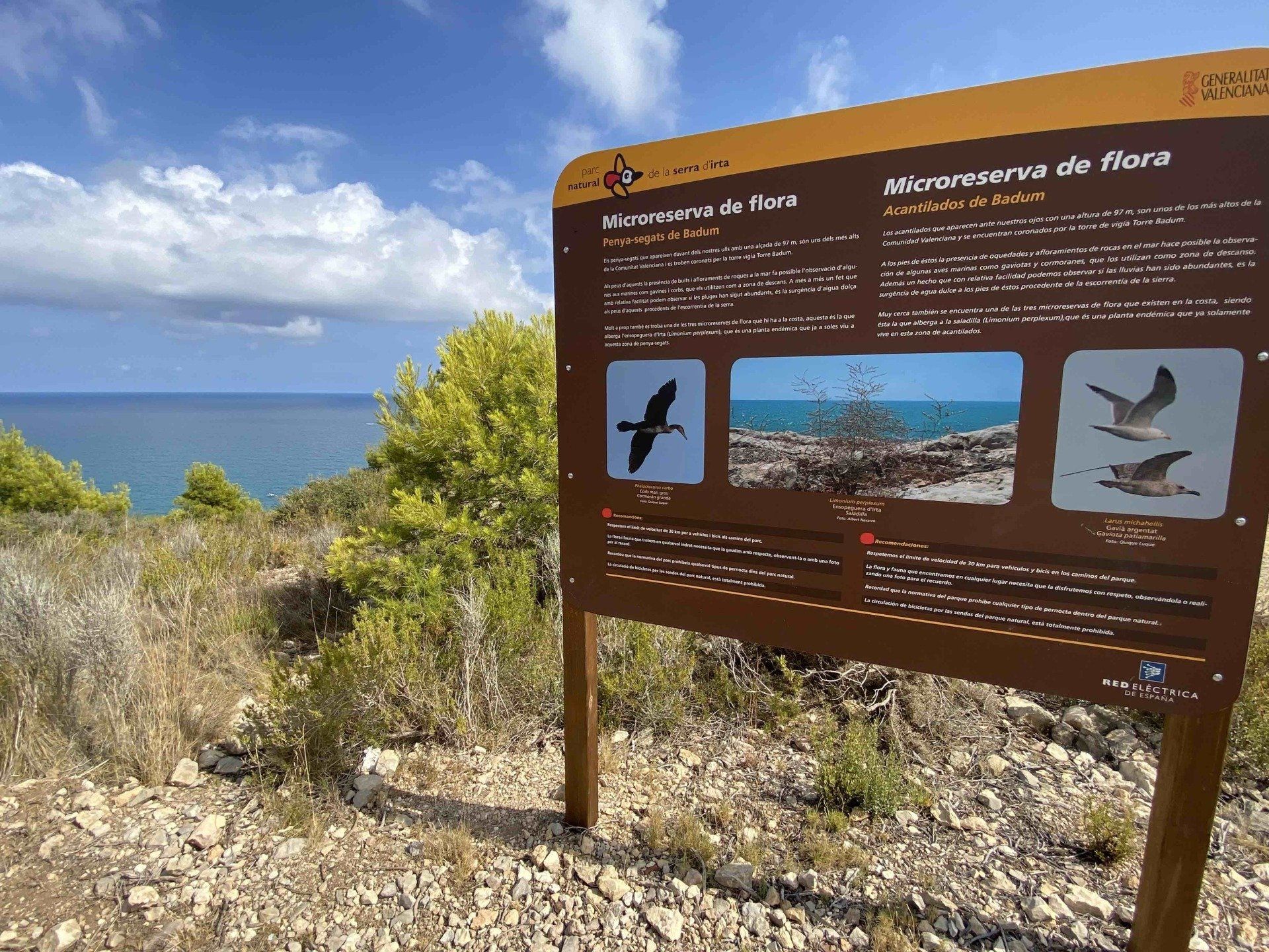Birds Parc Natural de la Serra d'Irta