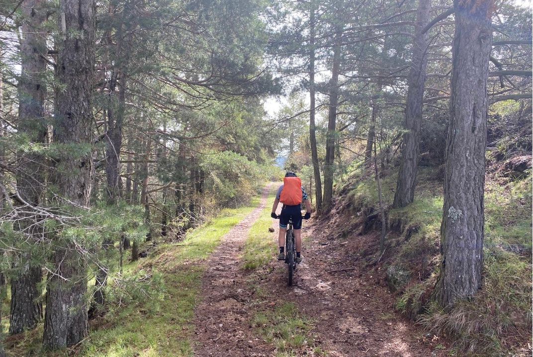 Forest cycle route around natural park near Casa de Olivos