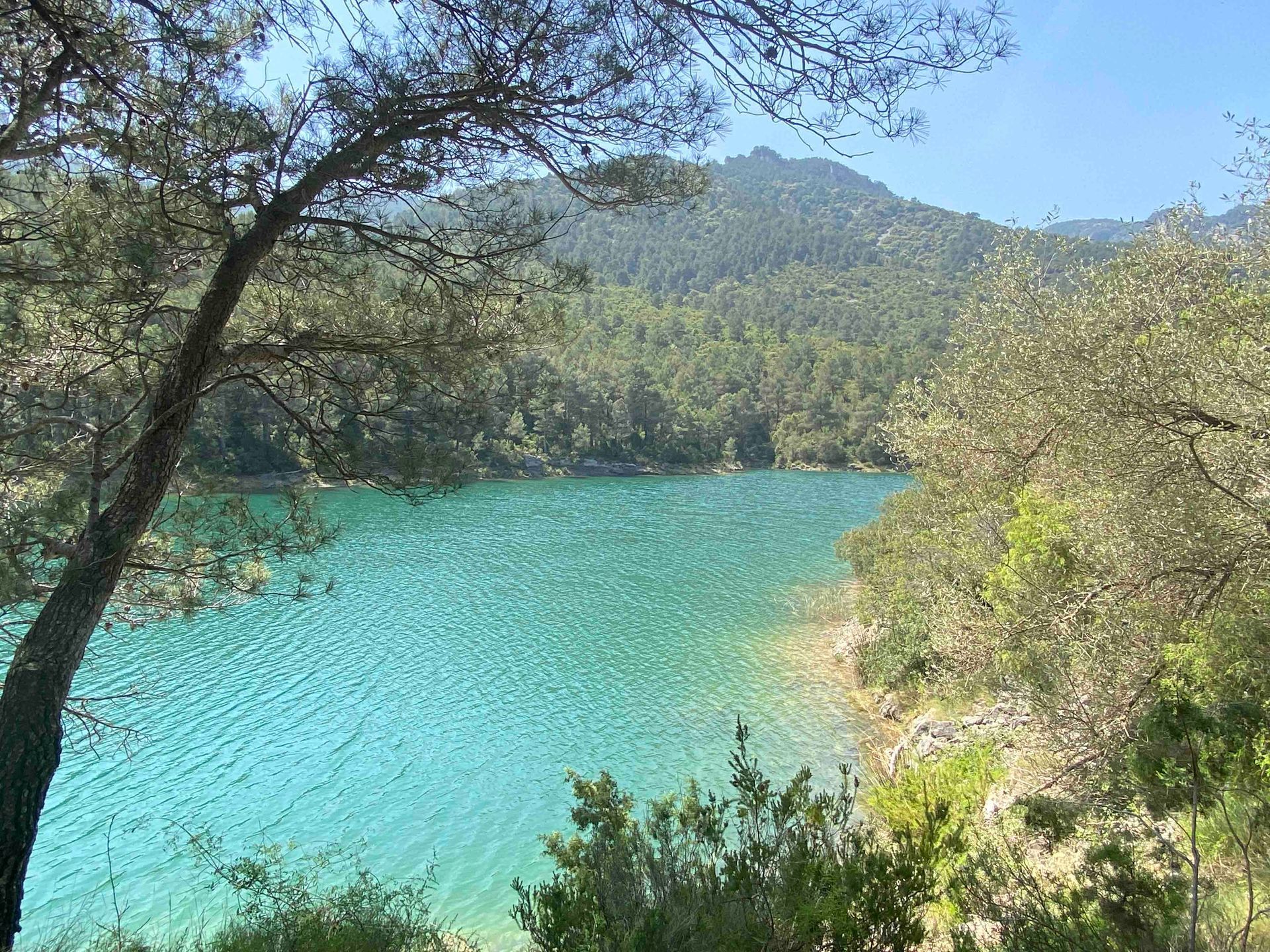 Tinença de Benifassa lake through the forest view - near casa de Olivos