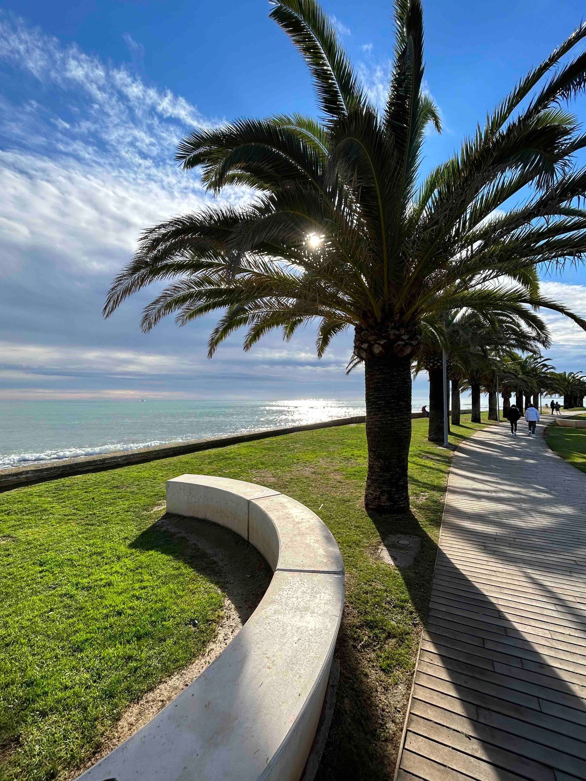 Benicarlo beach with palm trees Costa Del Azahar near Casa de Olivos