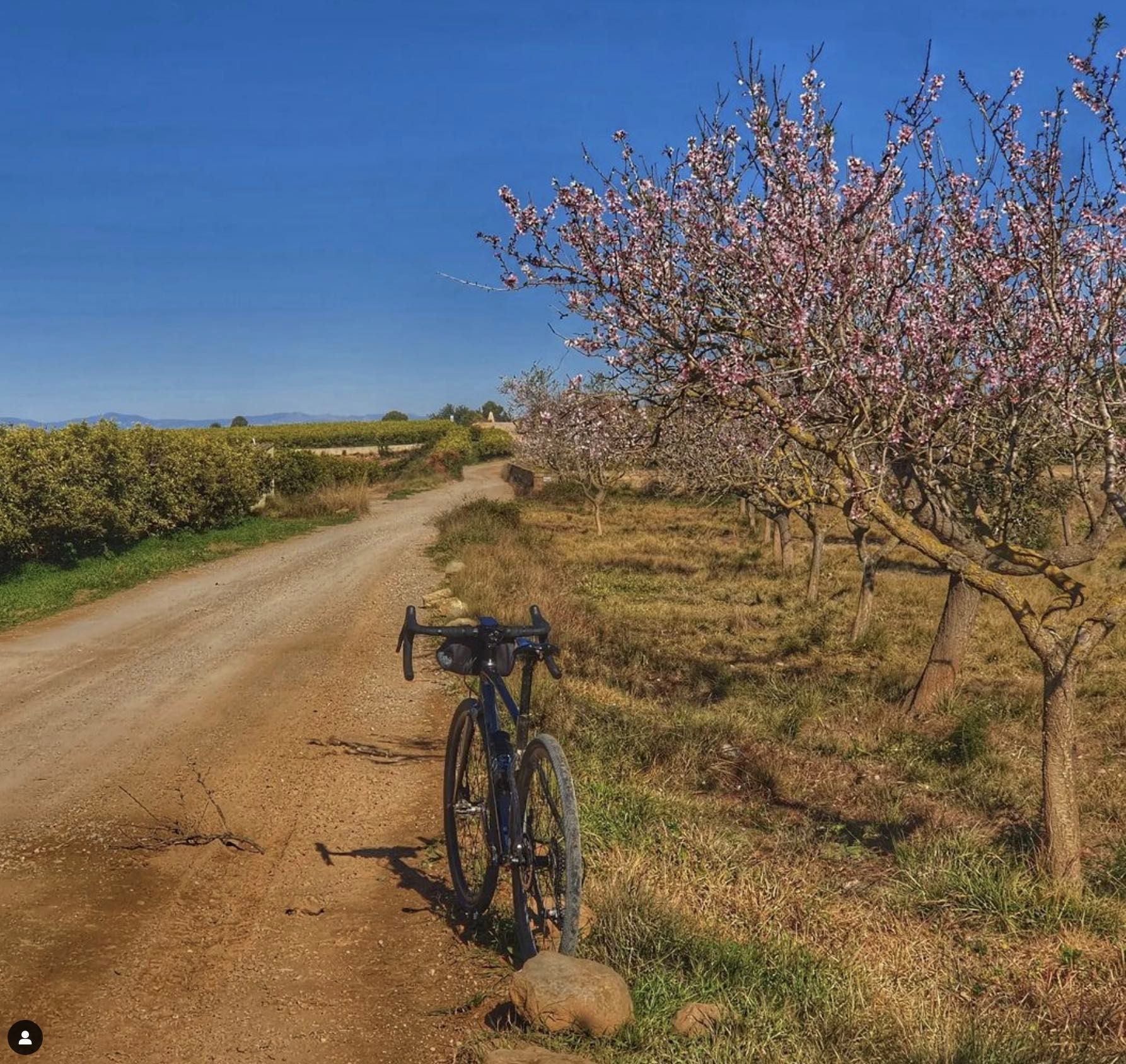 Scenic cycle route around Traiguera near Casa de Olivos