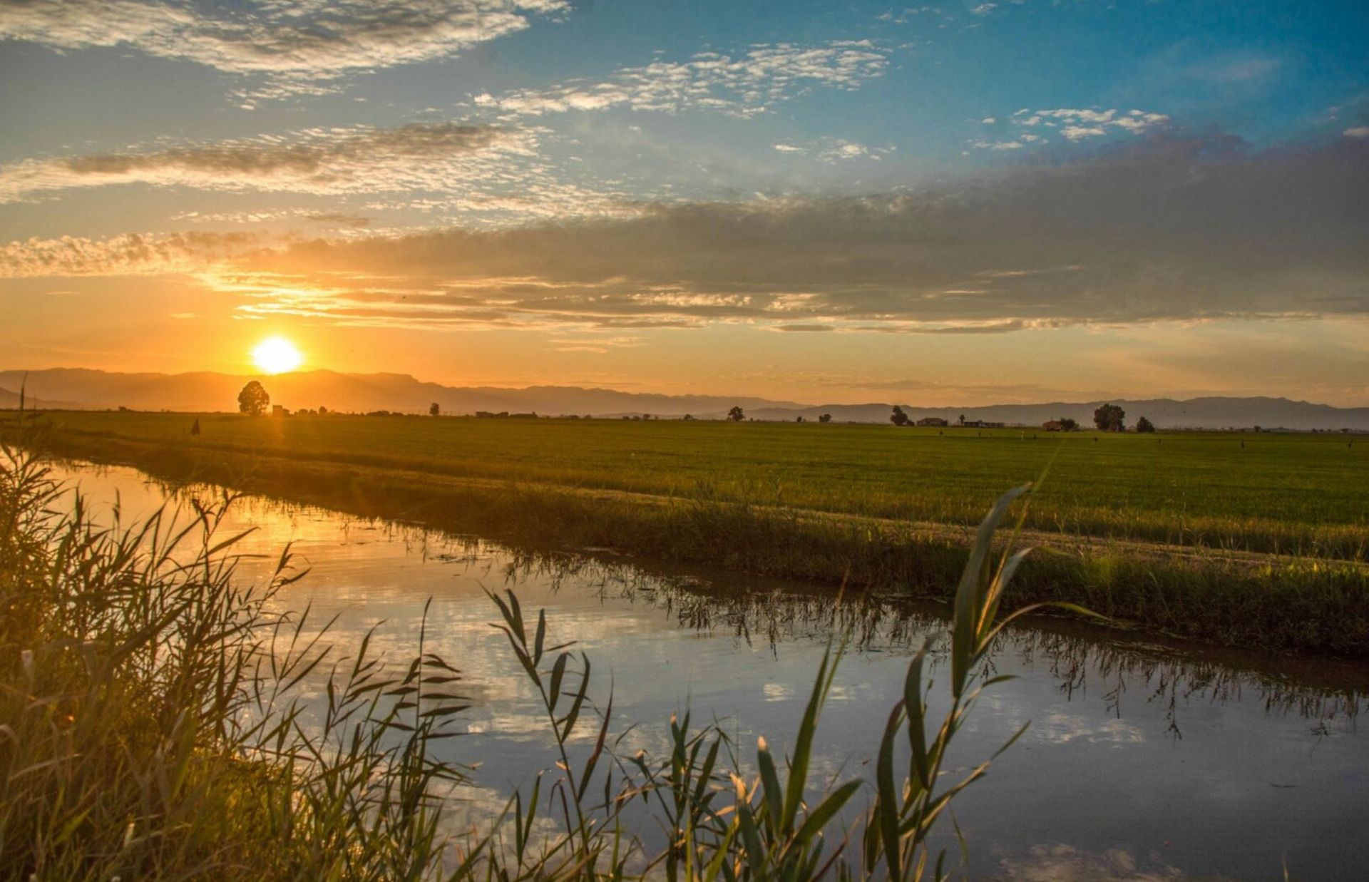Delta Ebro sunset across landscape
