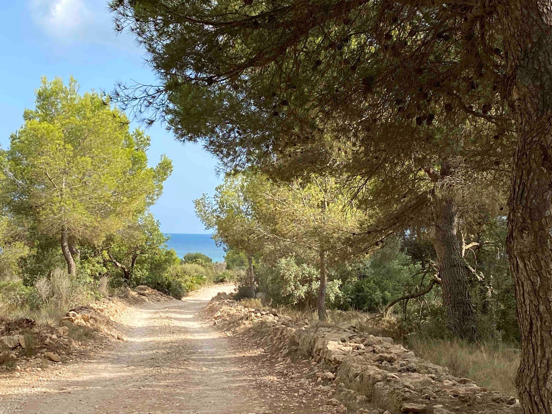 path through Natural parc Serra d'Irta near Casa de Olivos