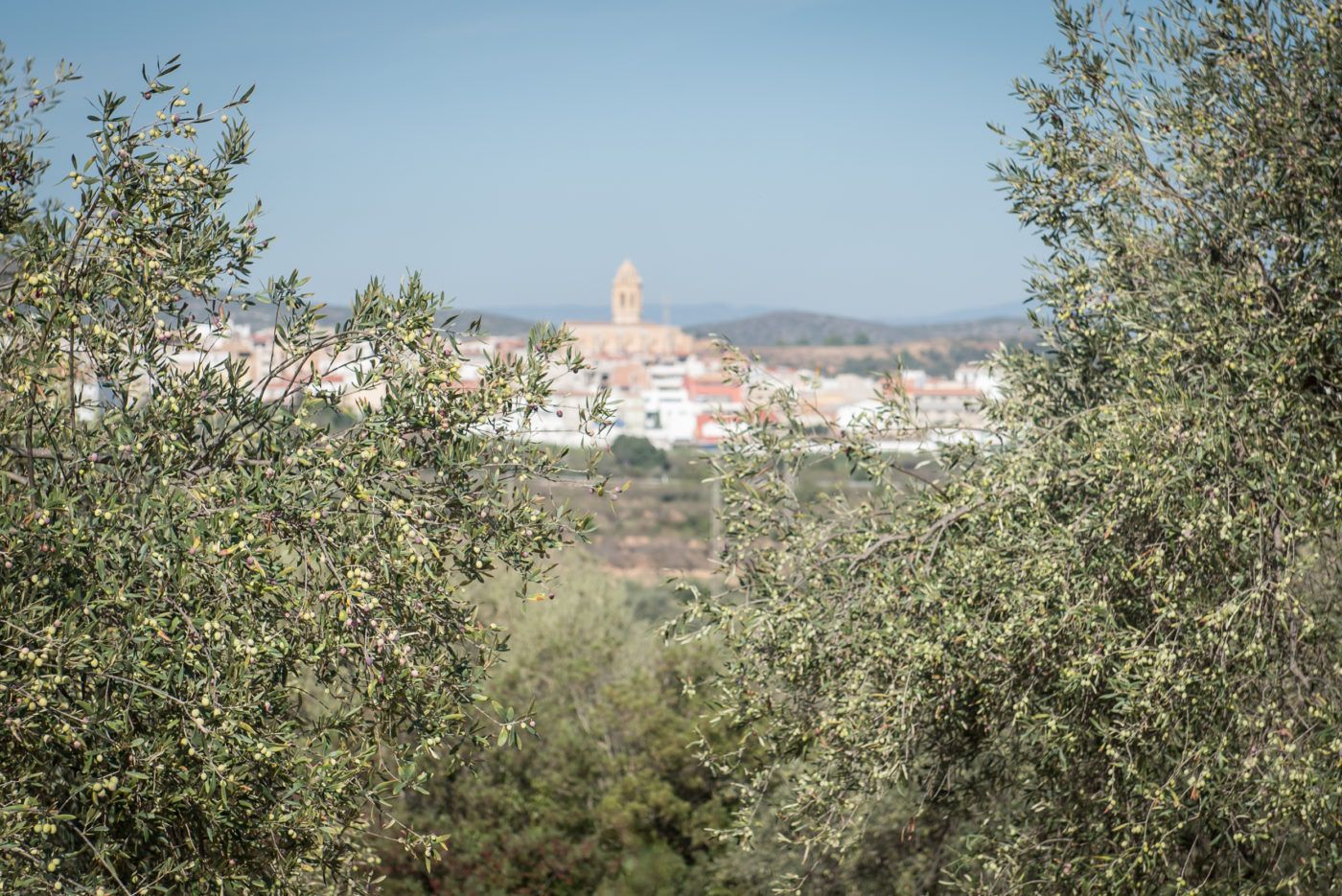 Peniscola beach Costa Del Azahar