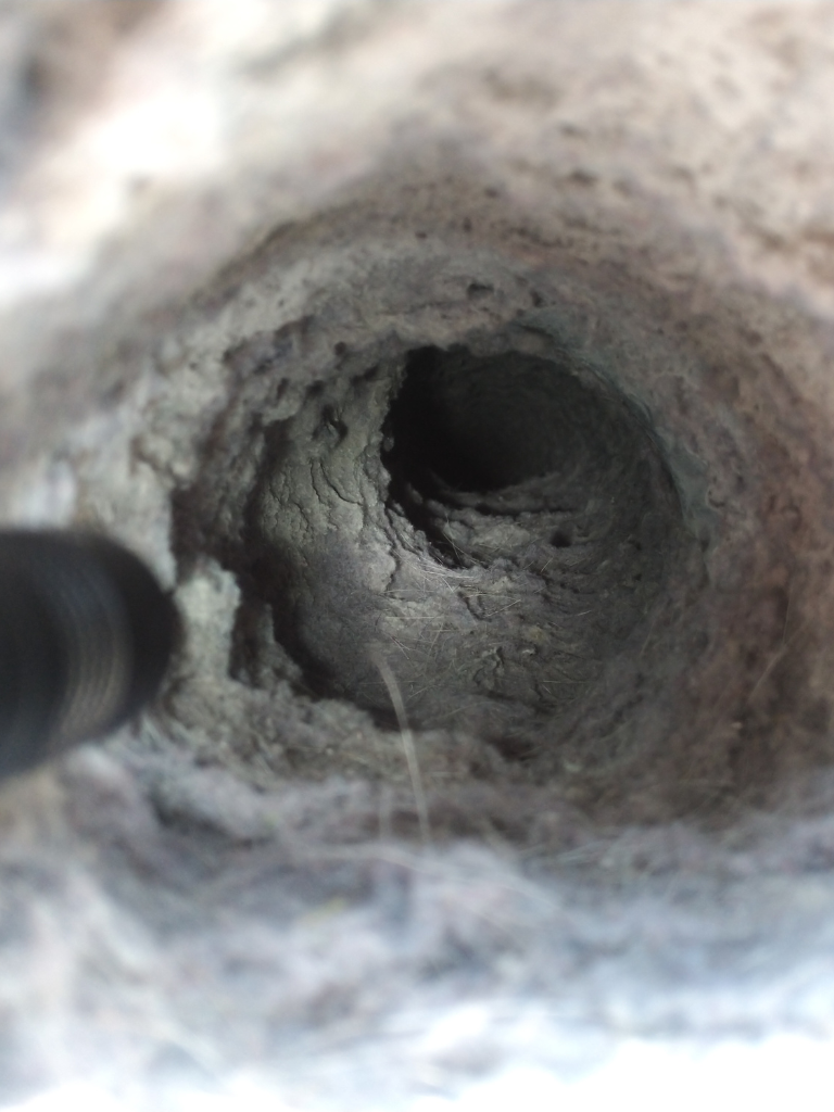 Looking down into a dark, rough-walled bore. A black object appears from the left.
