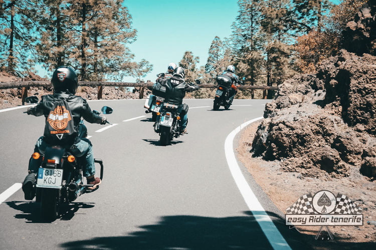 A group of people are riding motorcycles down a road