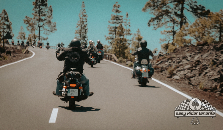 A group of people are riding motorcycles down a road.