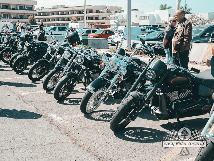 A row of motorcycles are parked in a parking lot