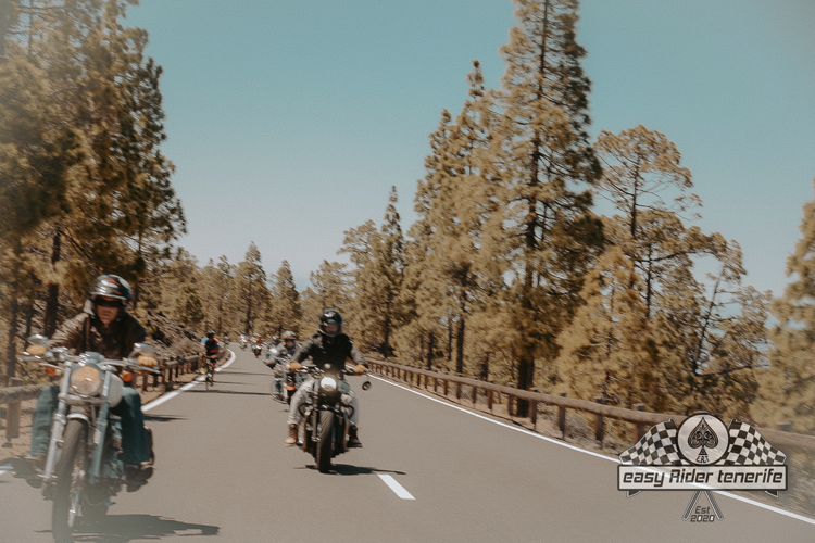 A group of people are riding motorcycles down a road.