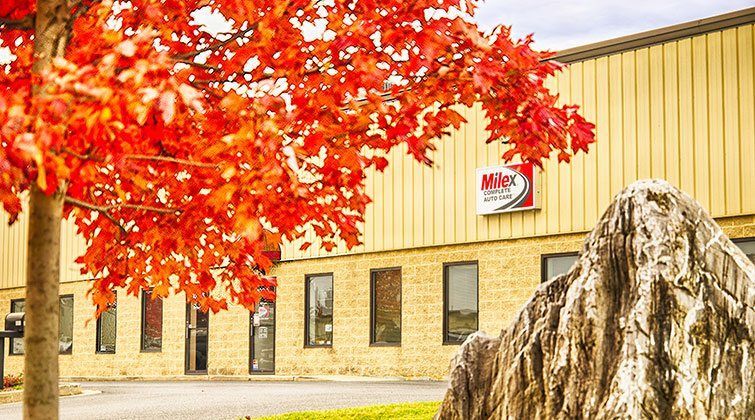 Front Shop | Milex Complete Auto Care - Frederick