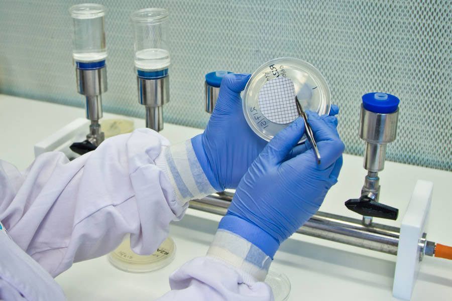 A person wearing blue gloves is holding a petri dish in a laboratory.