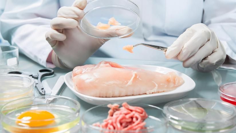 A scientist is examining a piece of meat in a petri dish.