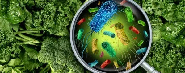 A magnifying glass is looking at bacteria in a bunch of green vegetables.