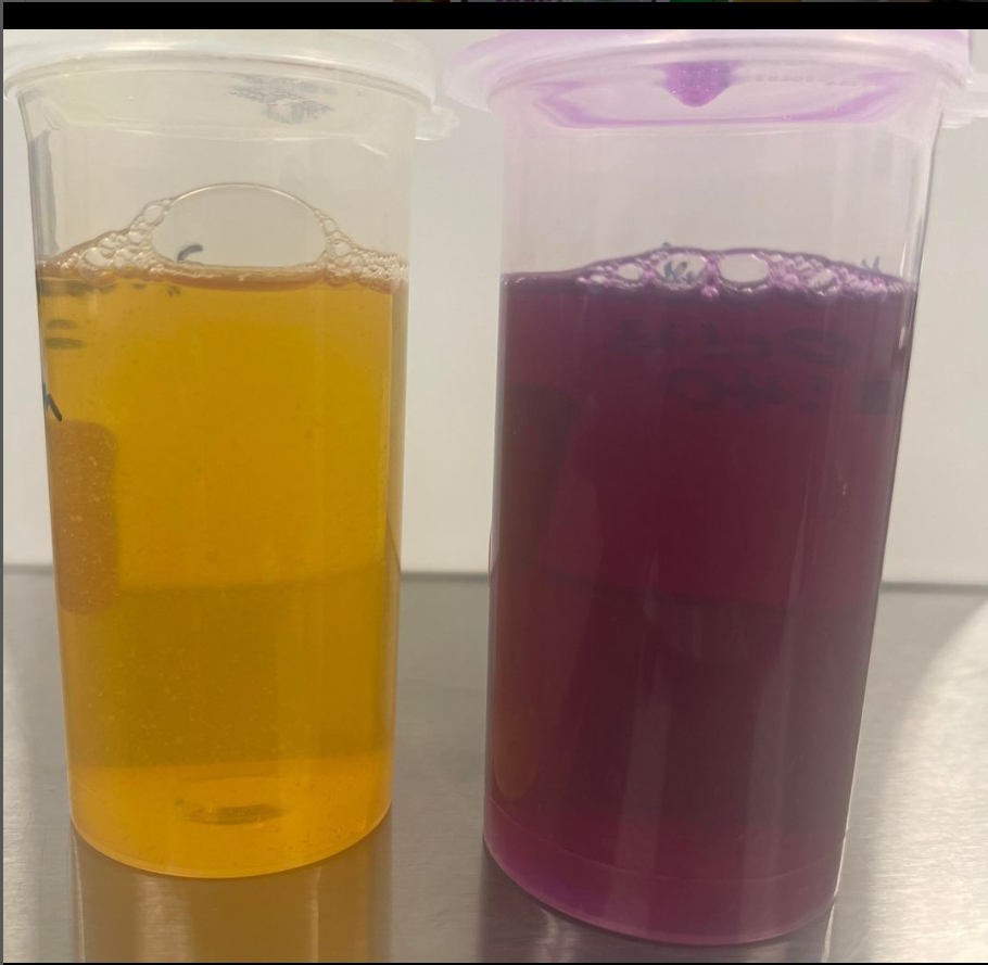 Two beakers filled with different colored liquids are sitting on a table.