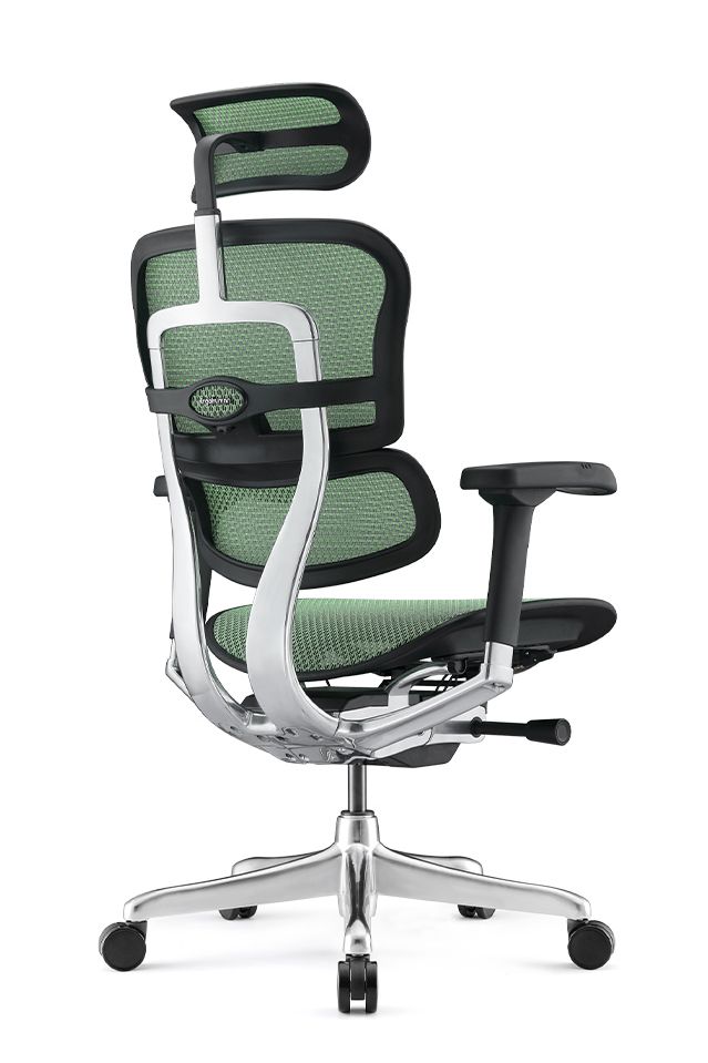 Ergohuman Elite Office Chair G2 with Leg Rest G2 Latest Model