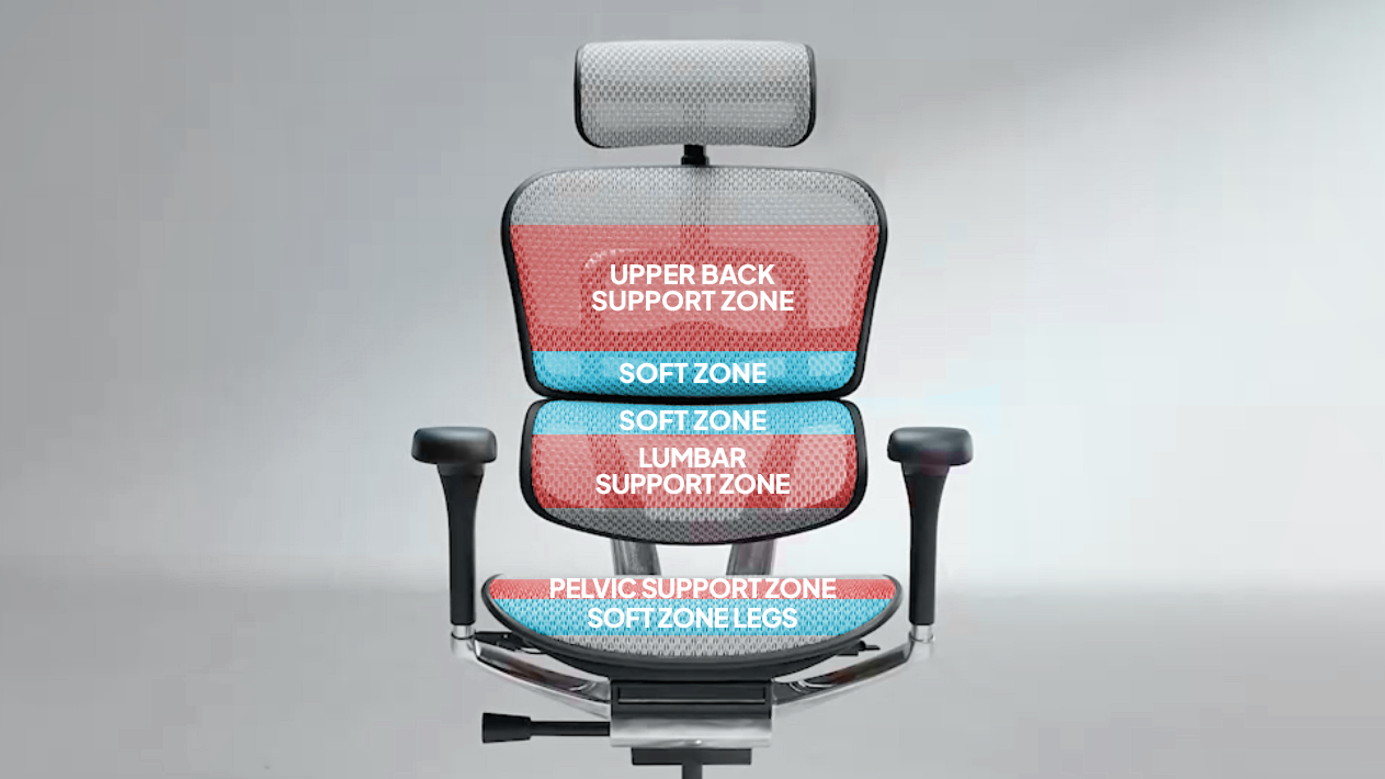 A diagram of the Ergohuman chair, showing the various zones that help with back support. The upper back support zone, soft zone, lumbar support zone, pelvic support zone and soft zone legs are all highlighted in blue and red. 