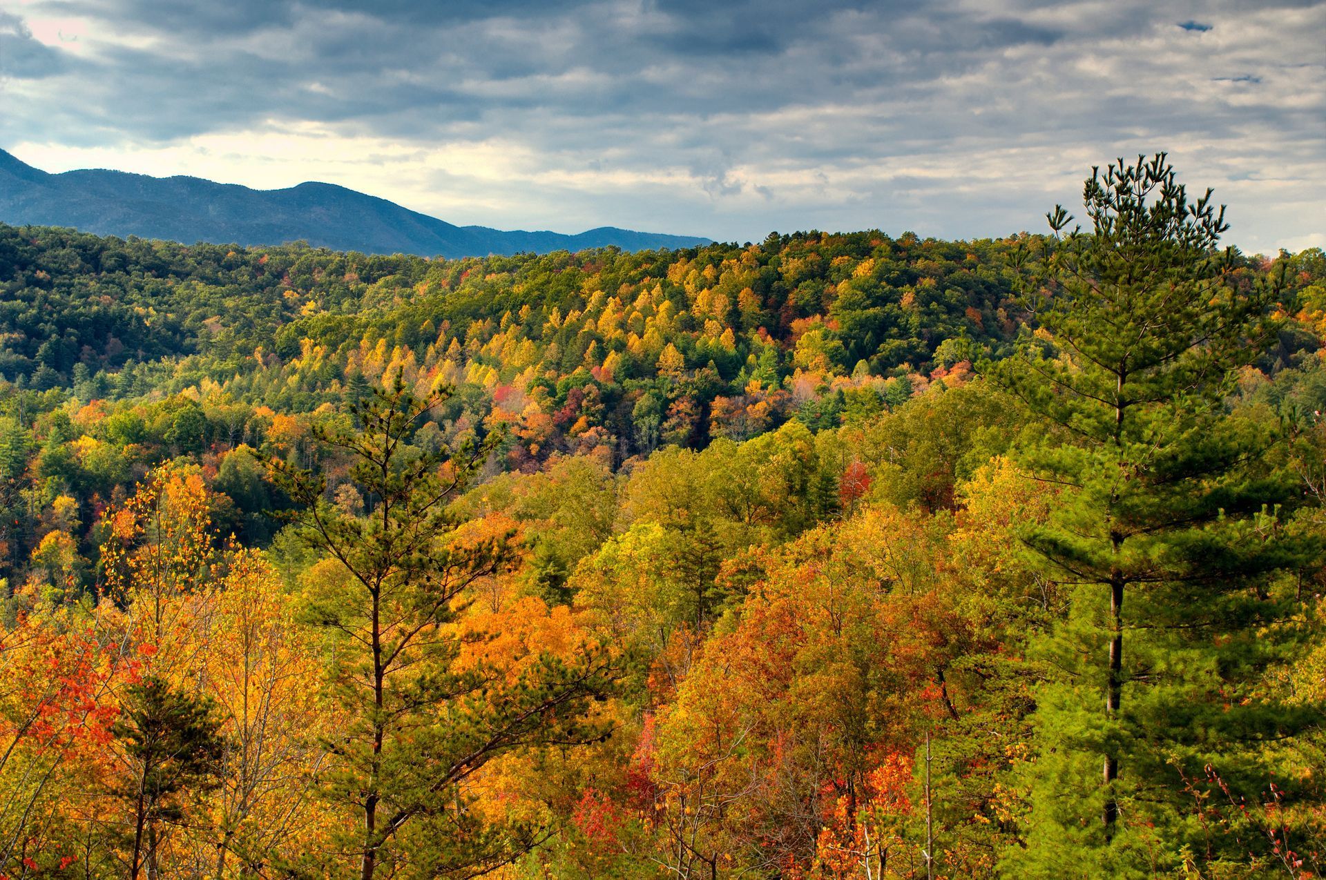 nantahala national forest