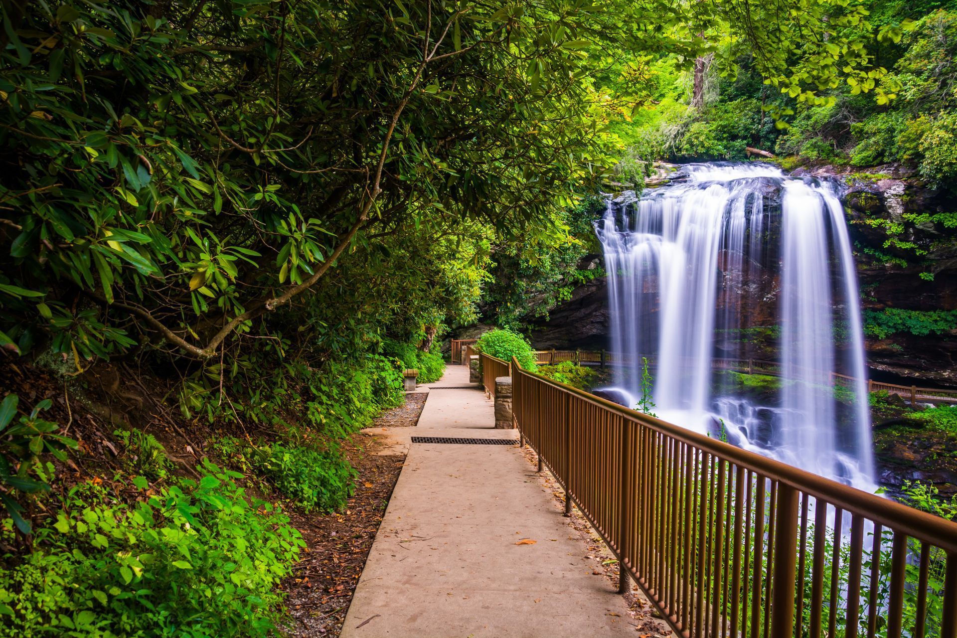 A waterfall is surrounded by trees and a path leading to it.