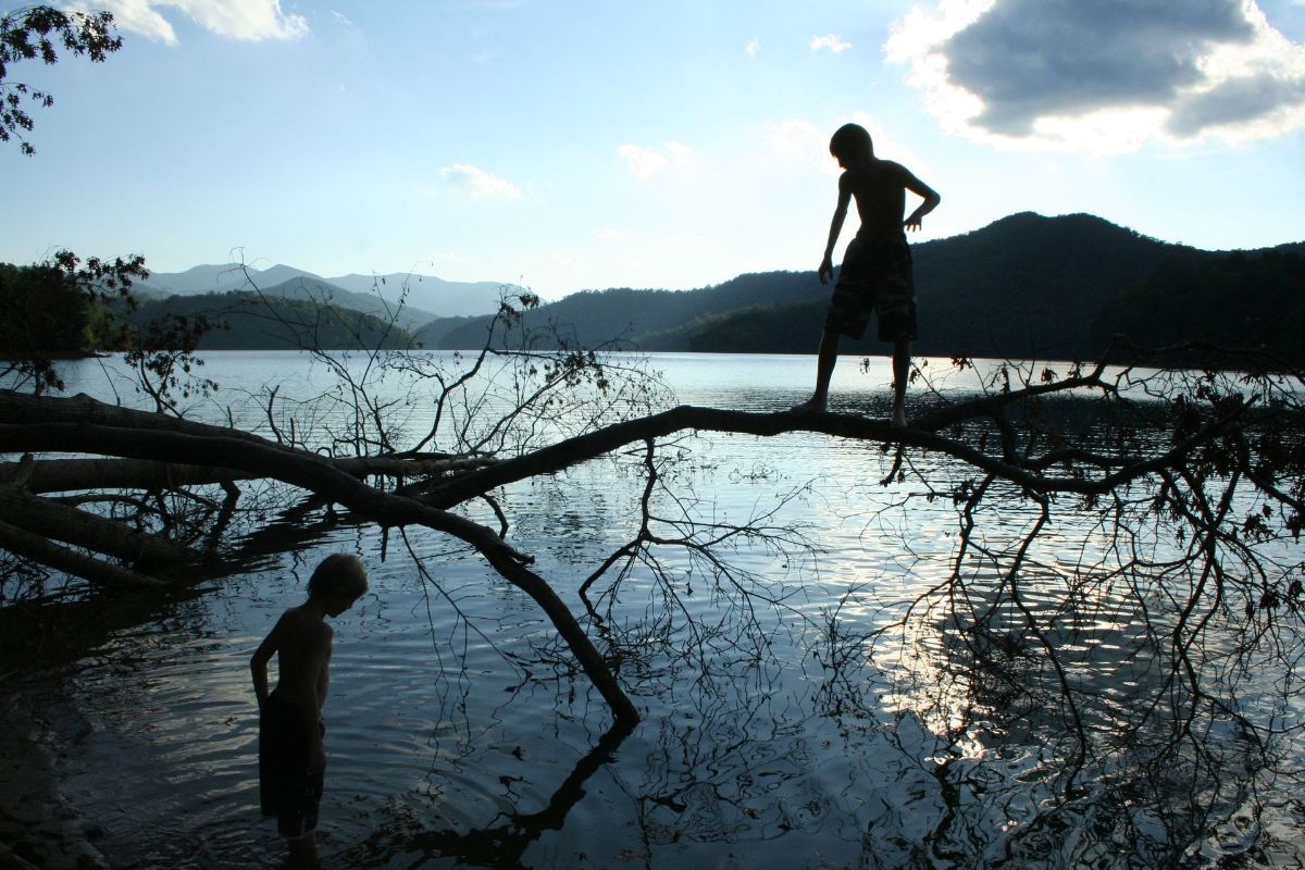 A person standing on a tree branch overlooking a lake