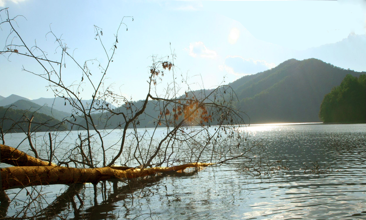 A lake with mountains in the background and a tree branch in the foreground