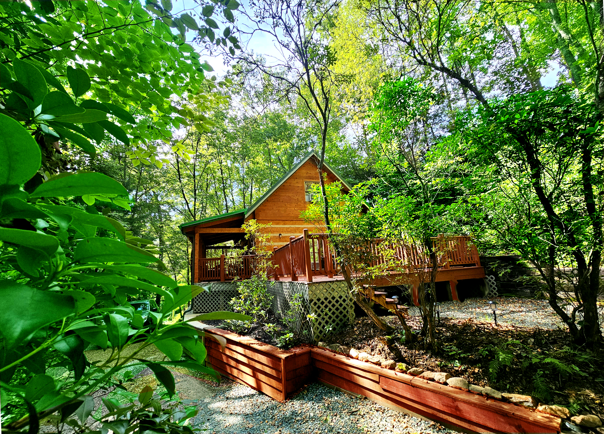 A small wooden cabin in the middle of a forest surrounded by trees.