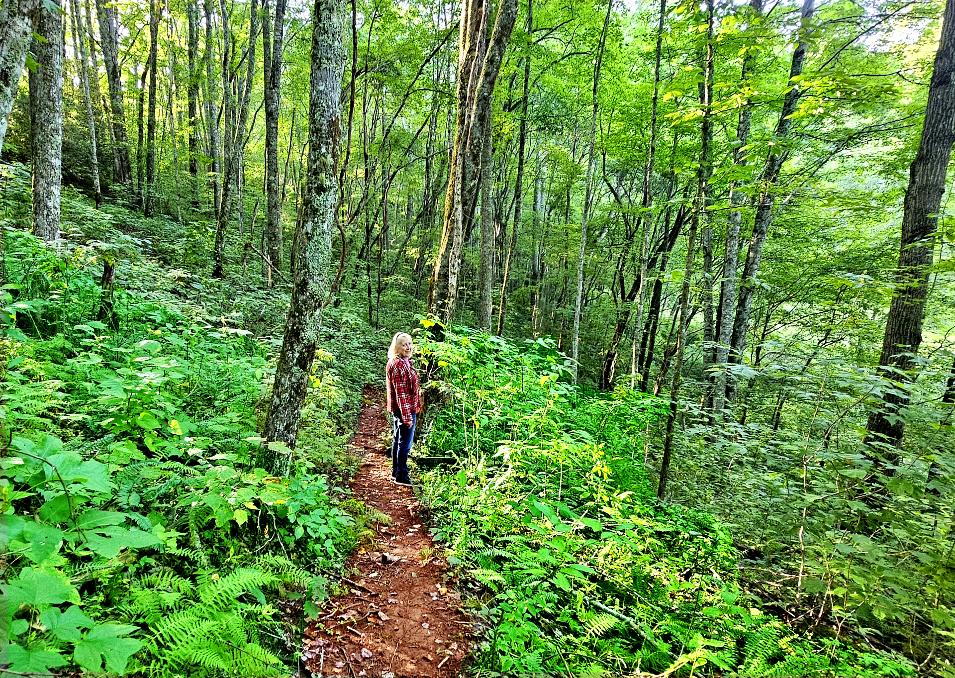 A person is walking down a path in the woods.